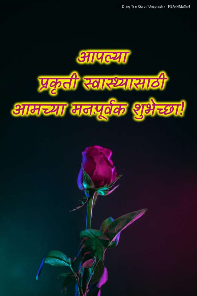 Shareblast Get Well Soon Marathi Videos Images Gifs Text