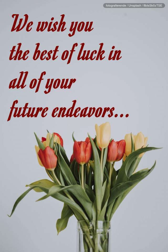 50-wishes-for-the-future-career-all-the-best-for-your-future-endeavors