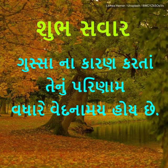 Shareblast Good Morning Cards Gujarati Videos Images Gifs