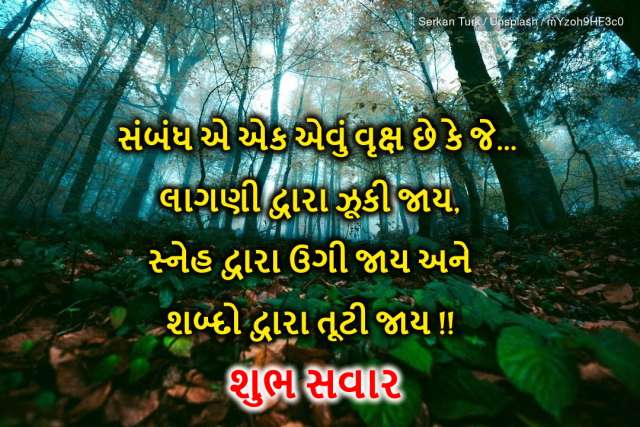 Shareblast Good Morning Cards Gujarati Videos Images Gifs