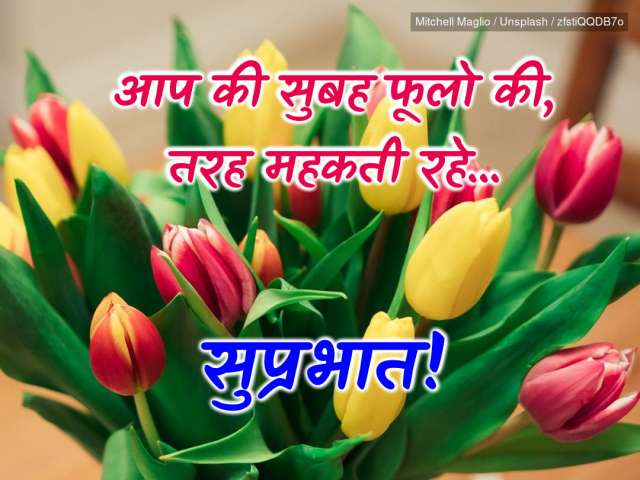 Good Morning Wishes Images, Messages, Quotes, HD Wallpapers, GIF Pics, good  morning messages, MSG, SMS, Greetings, good morning everyone, Shayari,  Pictures, Photos Download
