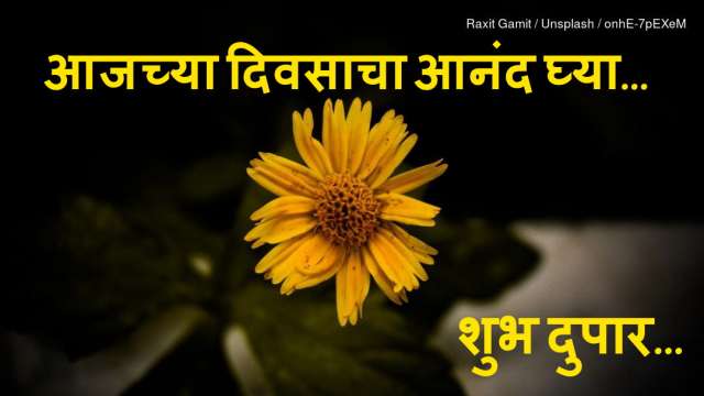 ShareBlast | Good Afternoon | Marathi | Videos, Images, GIFs & Text  Messages | Never Get Bored
